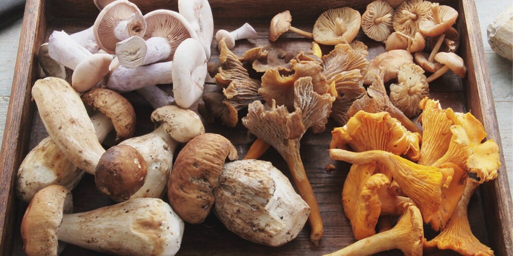 Mushrooms Have Vitamin D
